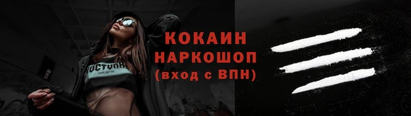 дмт Няндома