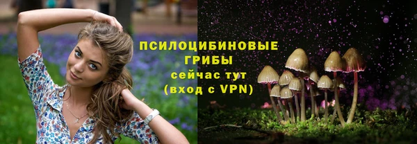 герыч Алексеевка